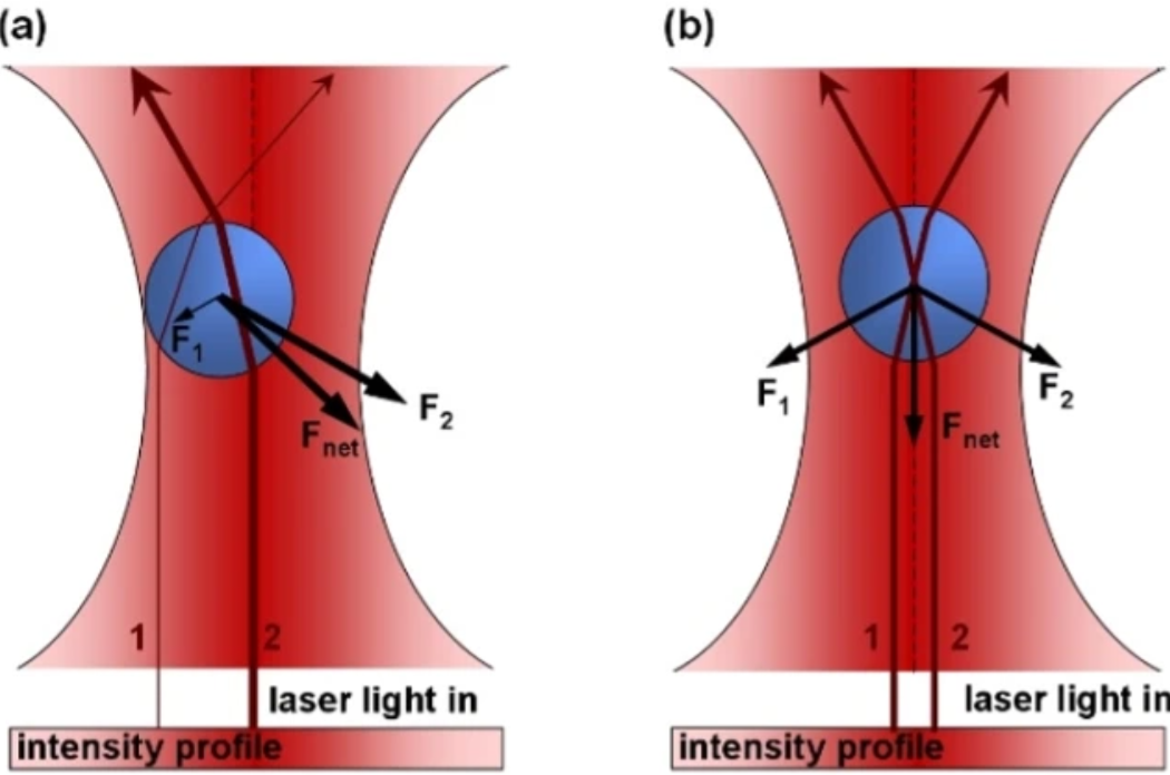 Masters of the Microworld: Optical, Optoelectronic, Acoustic, and Magnetic Tweezers