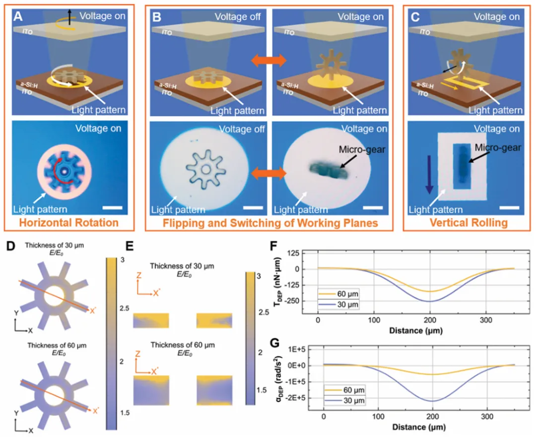 ​​Optoseeker-Driven 3D Micromanipulation Breakthrough Published in Advanced Materials