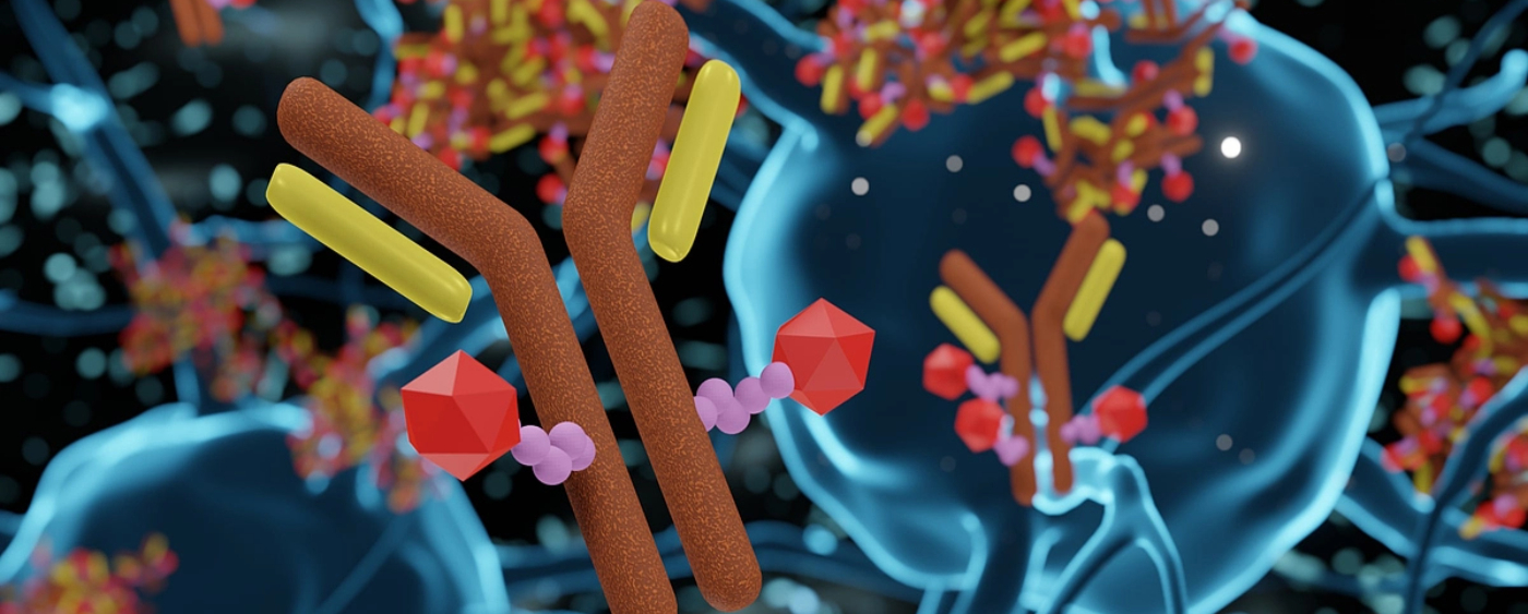 Antibody Discovery