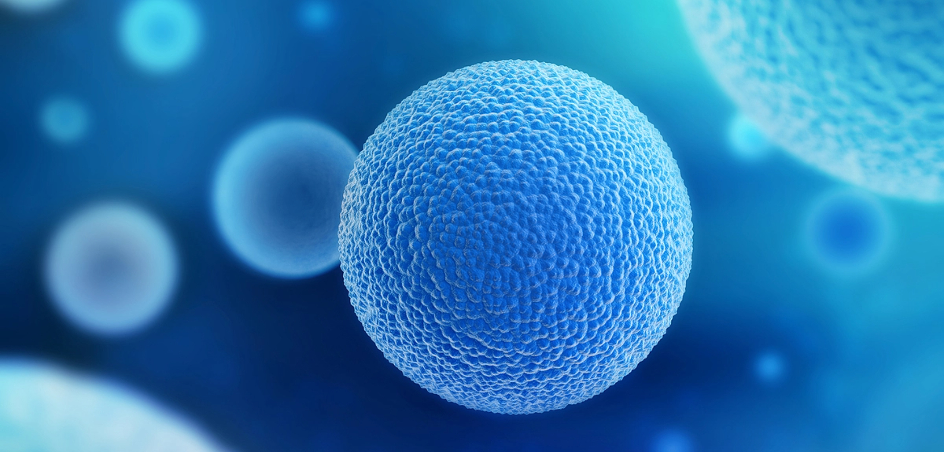 Micro/Nano Manipulation