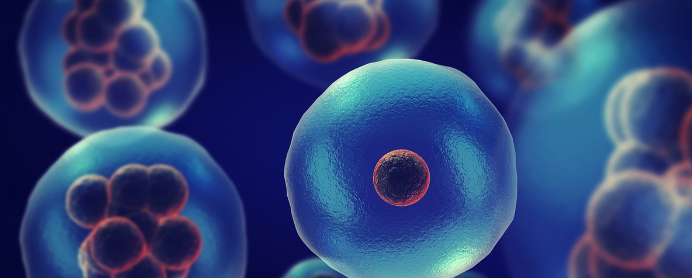 Cell Line Development