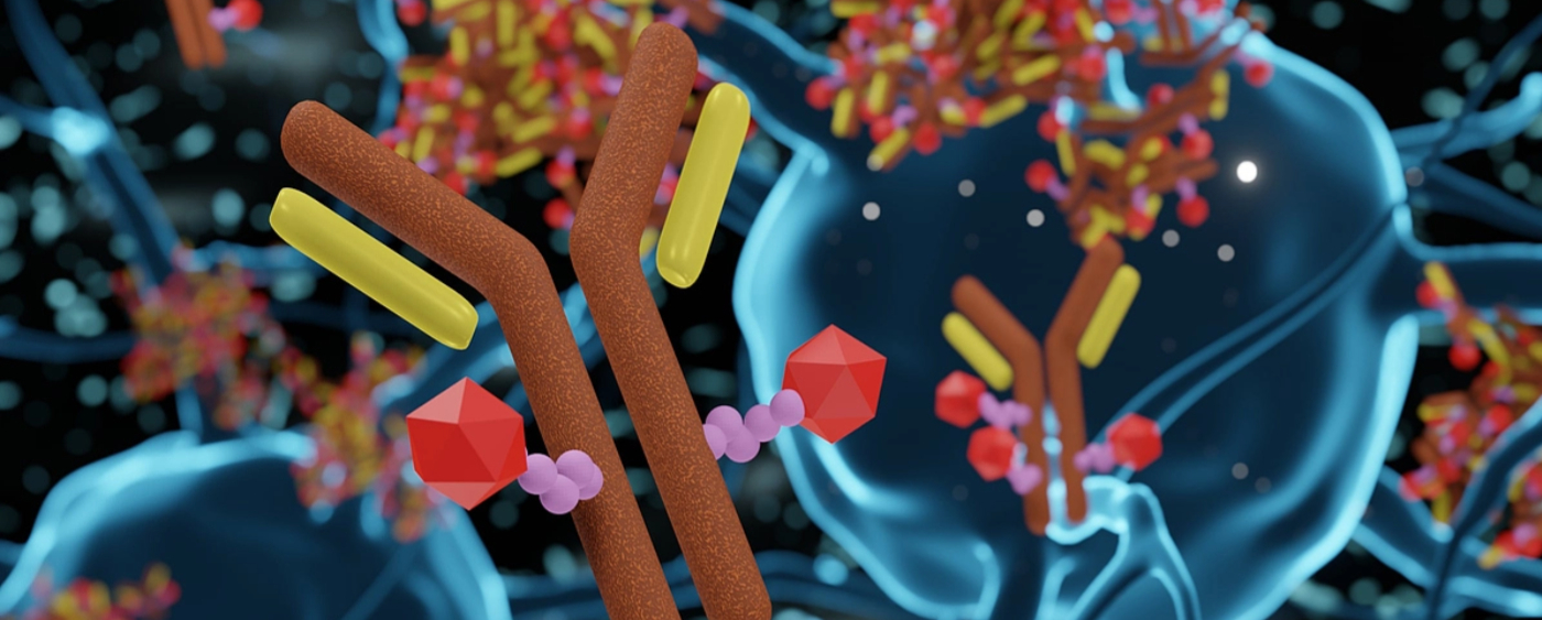 Antibody Discovery