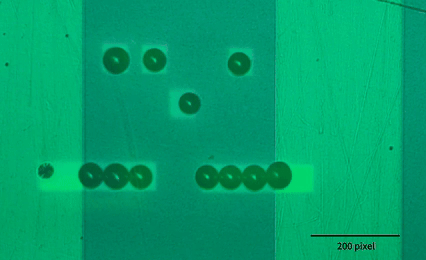 Manipulation of Microspheres and Assembly of Nanomaterials