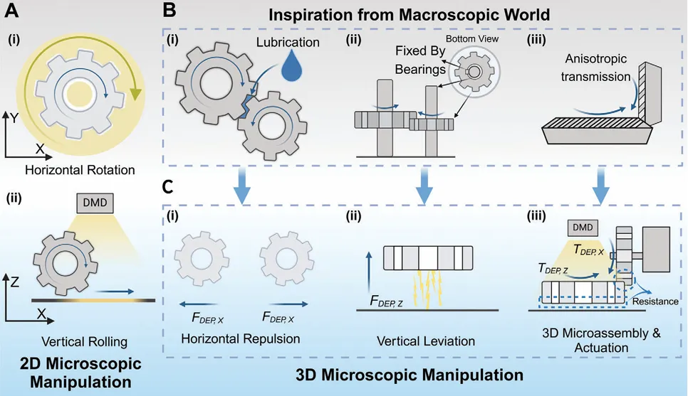 Optoelectronic Tweezers Breakthrough: Light-Driven 3D Microgear System Achieves Cross-Planar Motion Transfer