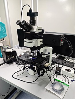 Southern University of Science and Technology