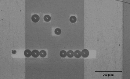 Manipulation and Assembly of Nanomaterials