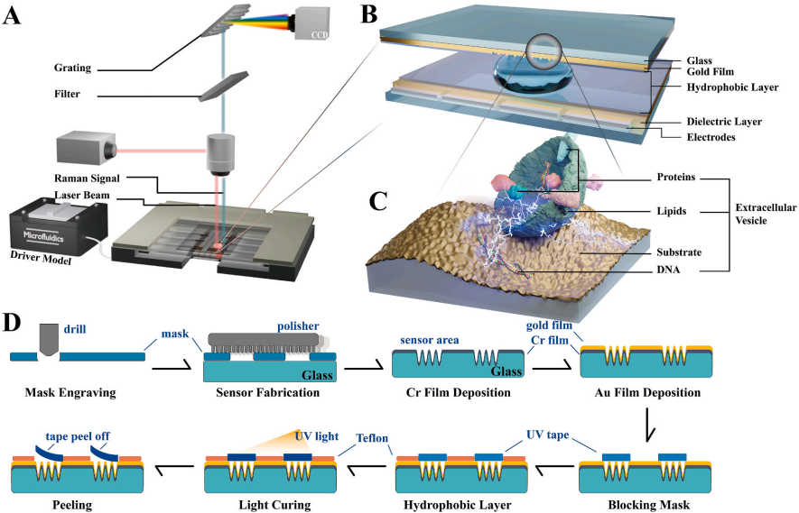 A Digital Microfluidic Technology with Integrated Raman Sensor: A New Platform for High-Sensitivity In-Situ Bioanalysis