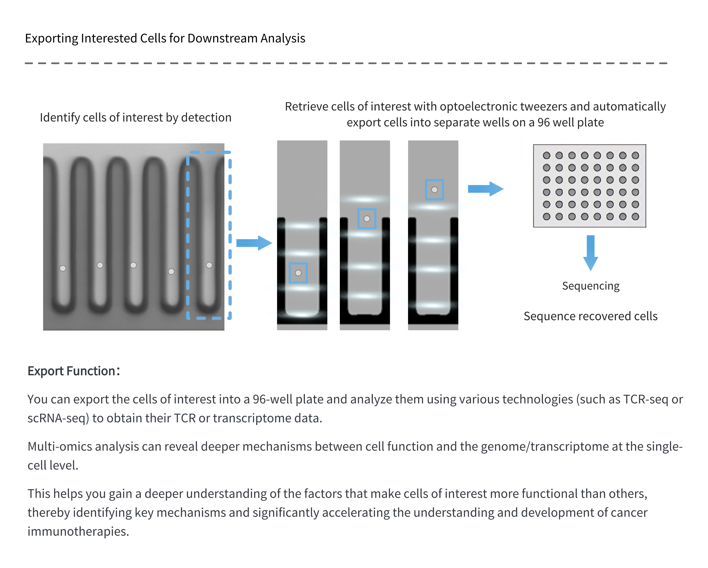 细胞治疗英 (2).png