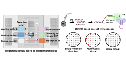 OptoSeeker Biotech’s DropletBot® Digital Microfluidic Platform Empowers Researchers to Publish in JACS