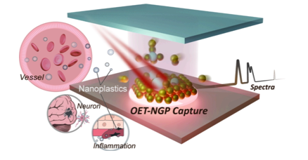 Optoelectronic "Nanograspers": A 10-Second Breakthrough in Serum-Based Trace Detection